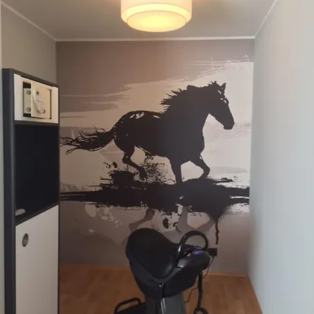 Art Superior 4* Aquisgrà